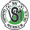 SV Merkur 06